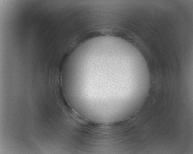 X0000083580702200702090841