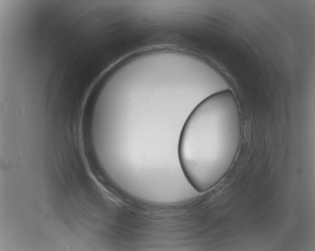 X0000083580722200702090840