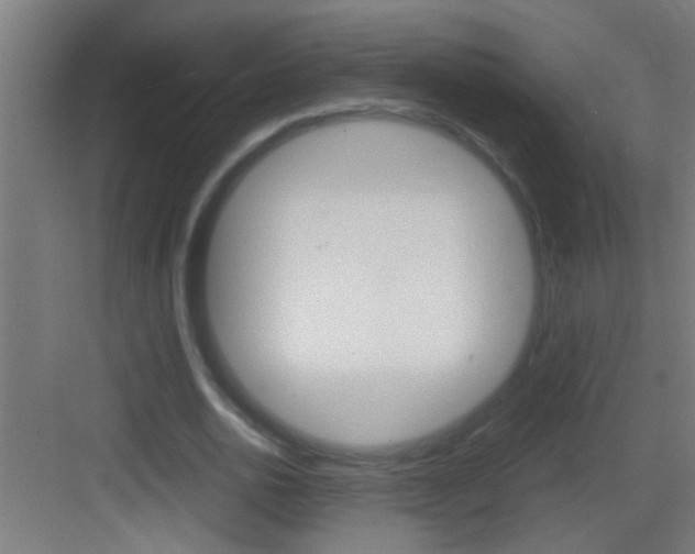 X0000083580726200702090840