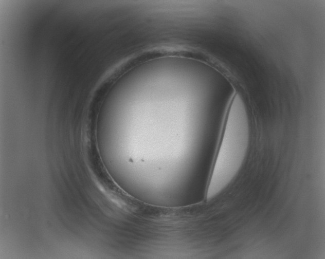 X0000083580732200702090840
