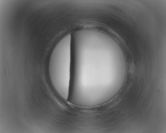 X0000083580733200702090840