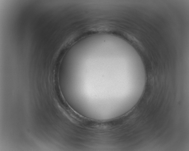 X0000083580735200702090840