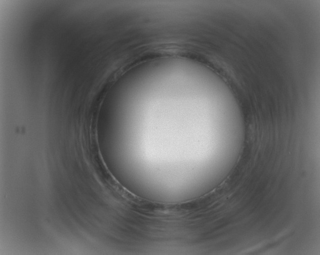 X0000083580739200702090840