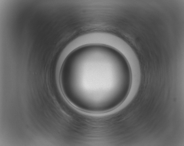 X0000083580740200702090840