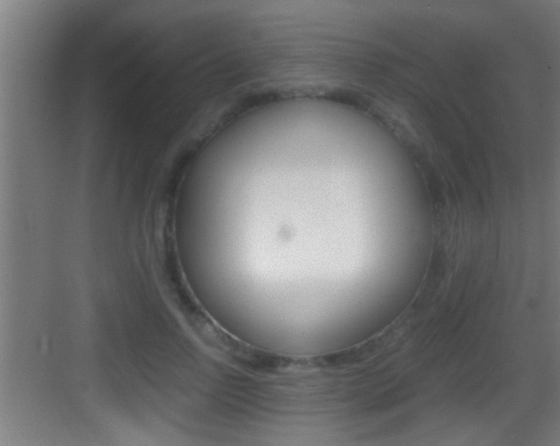 X0000083580742200702090840