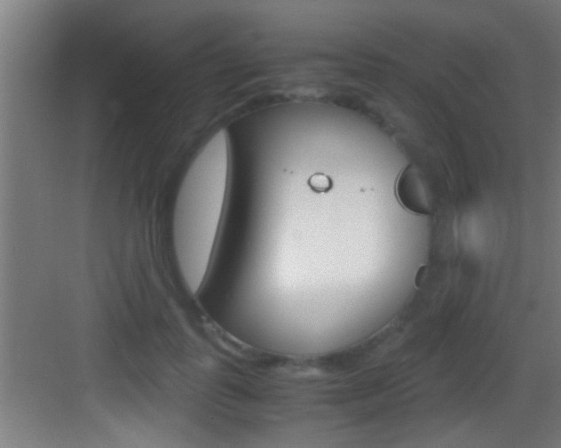 X0000083580747200702090841