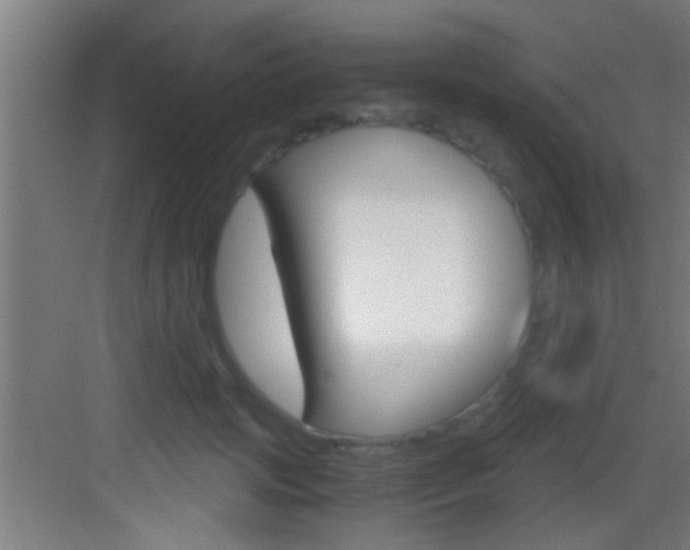 X0000083580749200702090841