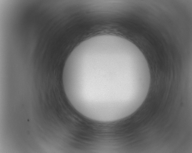 X0000083580752200702090841