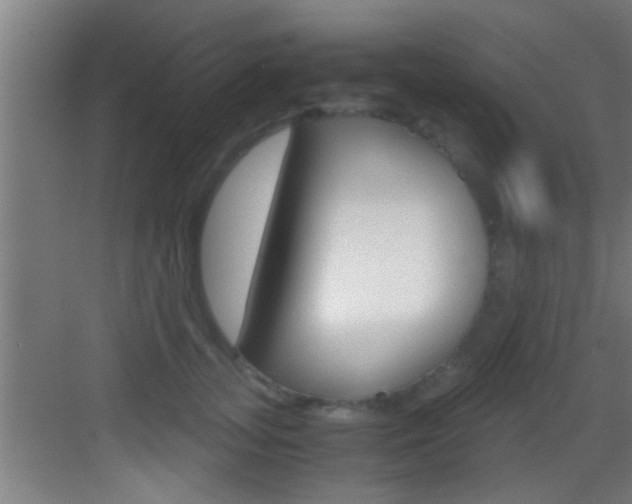 X0000083580755200702090841