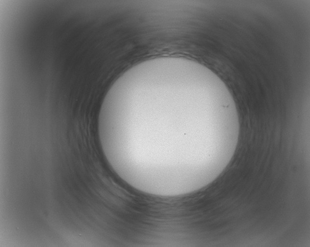 X0000083580756200702090841