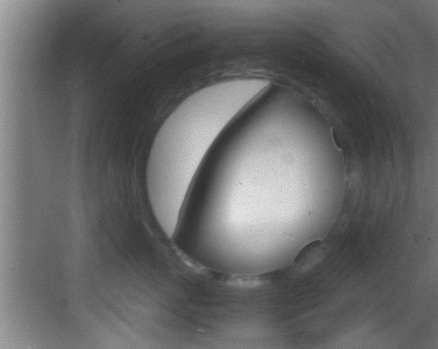 X0000083580767200702090841