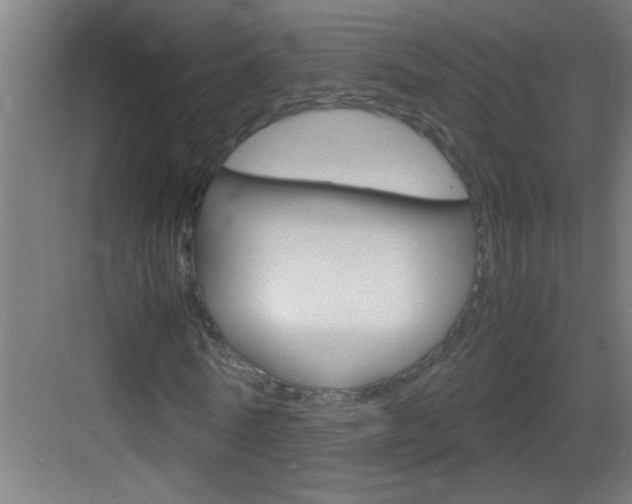 X0000083580770200702090840