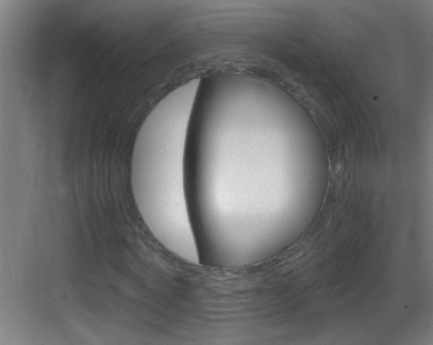 X0000083580772200702090840