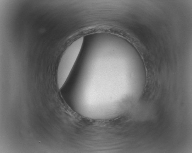 X0000083580773200702090840