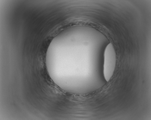X0000083580774200702090840