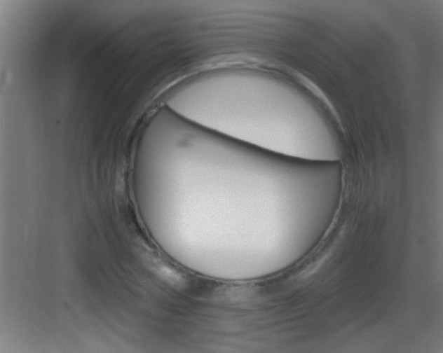 X0000083580778200702090840