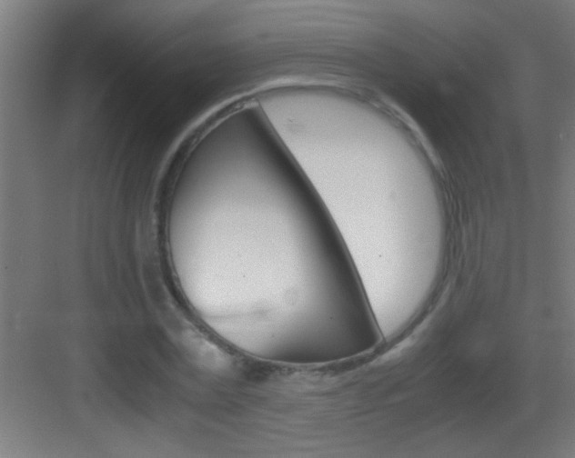 X0000083580779200702090840