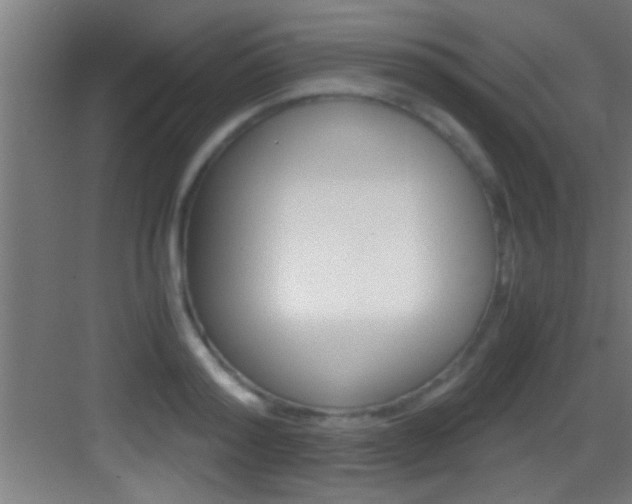 X0000083580796200702090840