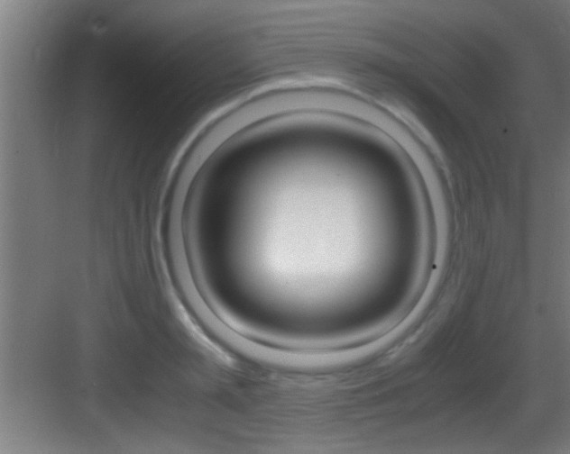 X0000083580797200702090840