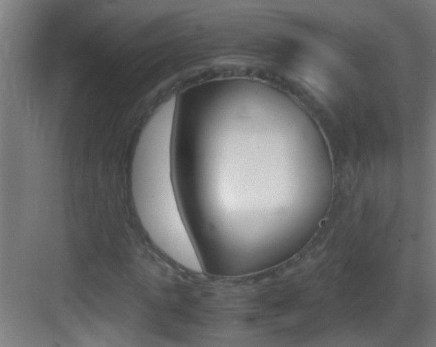 X0000083580821200702090839