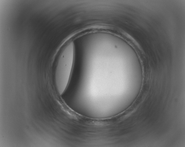 X0000083580829200702090839