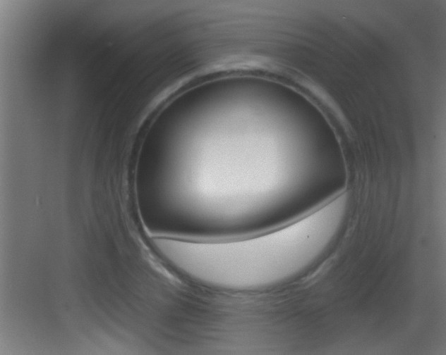 X0000083580834200702090839