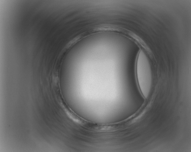 X0000083580841200702090839