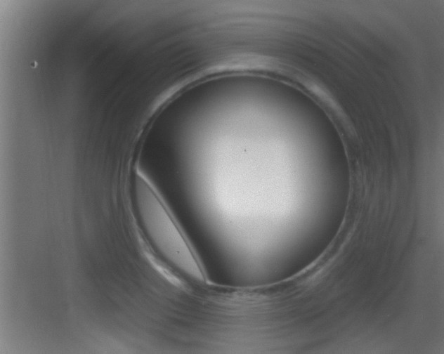 X0000083580842200702090839
