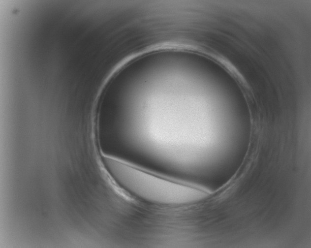 X0000083580854200702090839