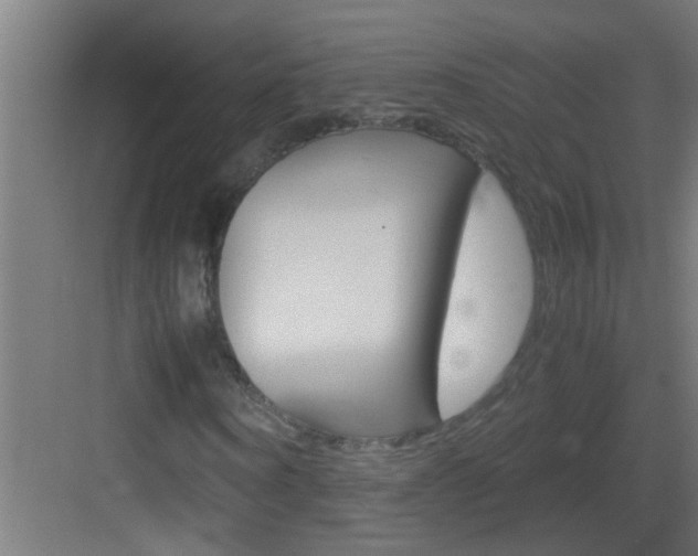 X0000083580866200702090838