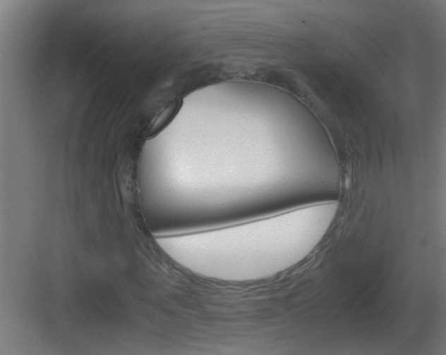 X0000083580867200702090838