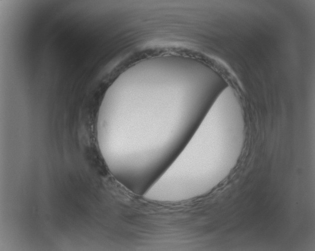 X0000083580871200702090838