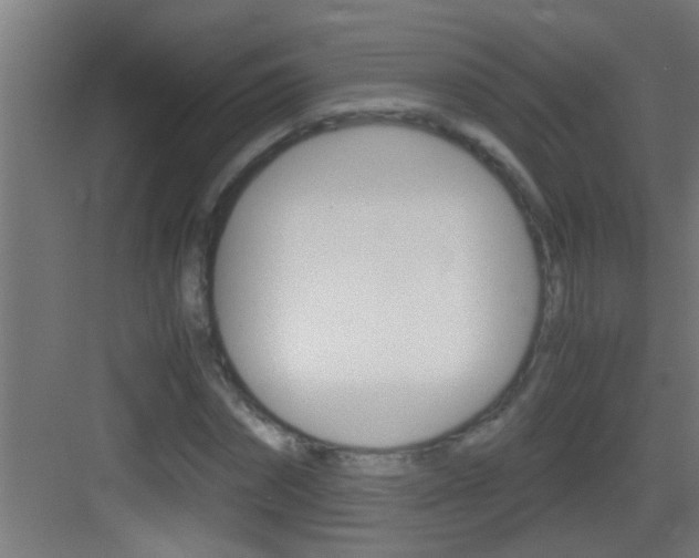 X0000083580874200702090838