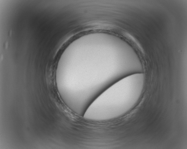 X0000083580875200702090838
