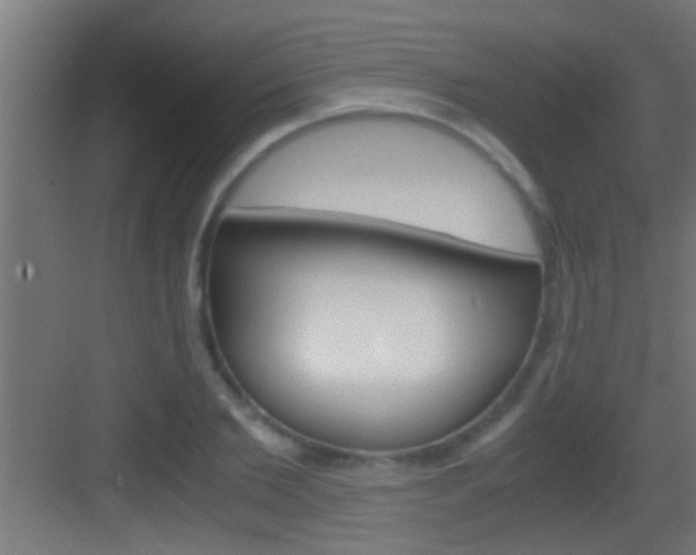 X0000083580885200702090838