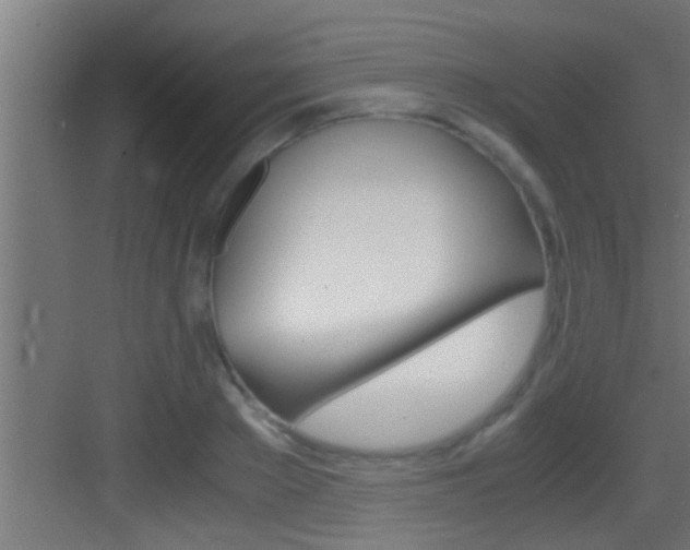X0000083580889200702090838