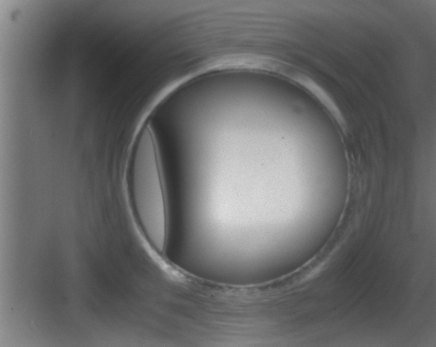 X0000083580901200702090838