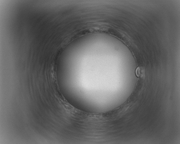 X0000083580915200702090837