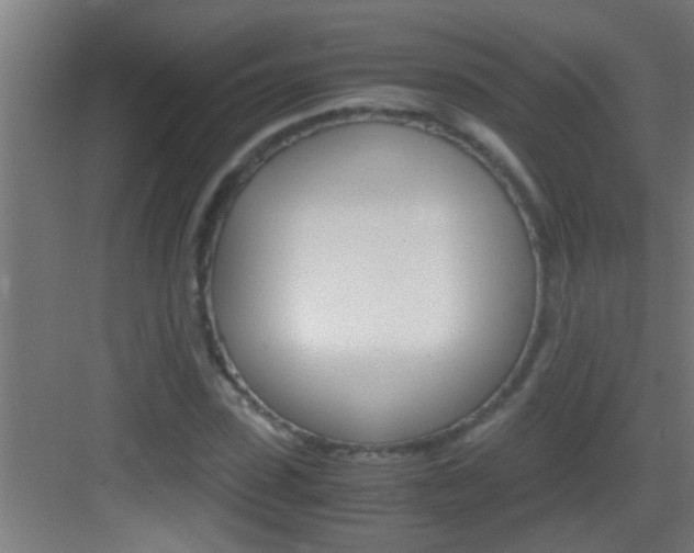 X0000083580923200702090837
