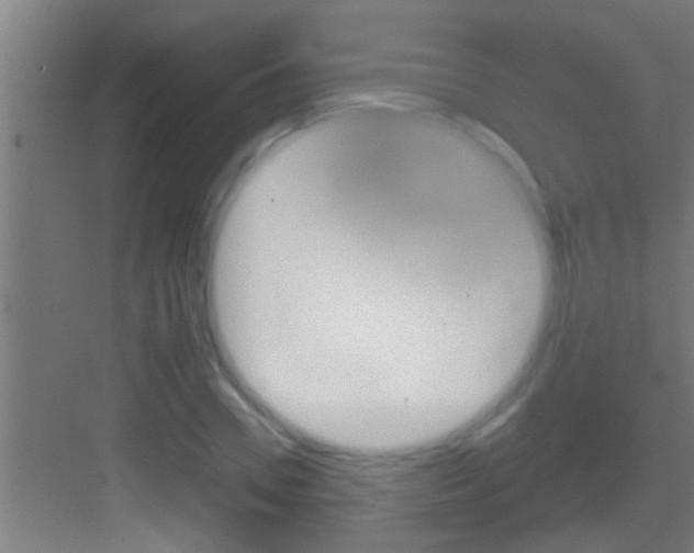 X0000083580930200702090837