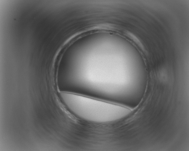 X0000083580931200702090837