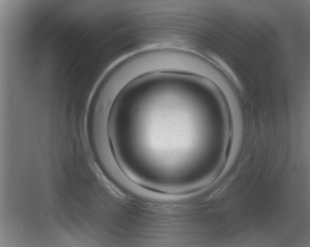X0000083580932200702090837