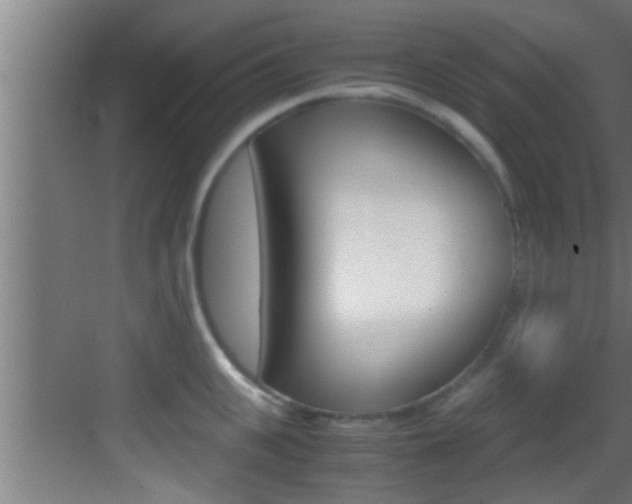 X0000083580951200702090837