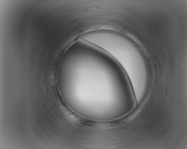 X0000083580977200702090837