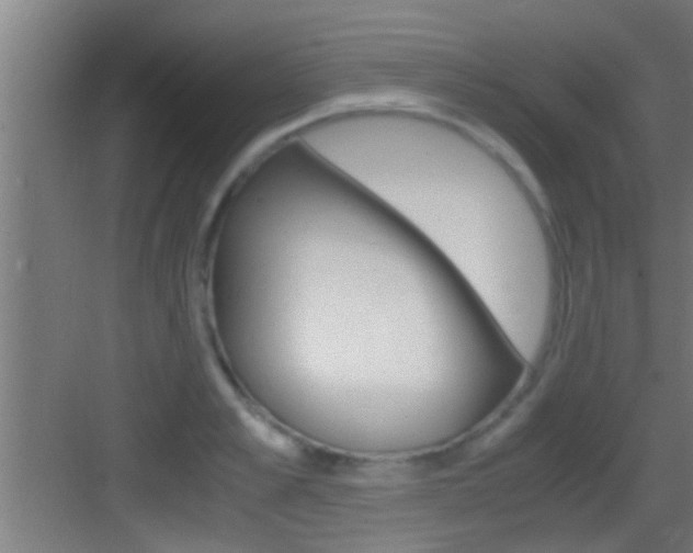 X0000083580989200702090836