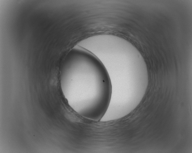 X0000083581012200702090835