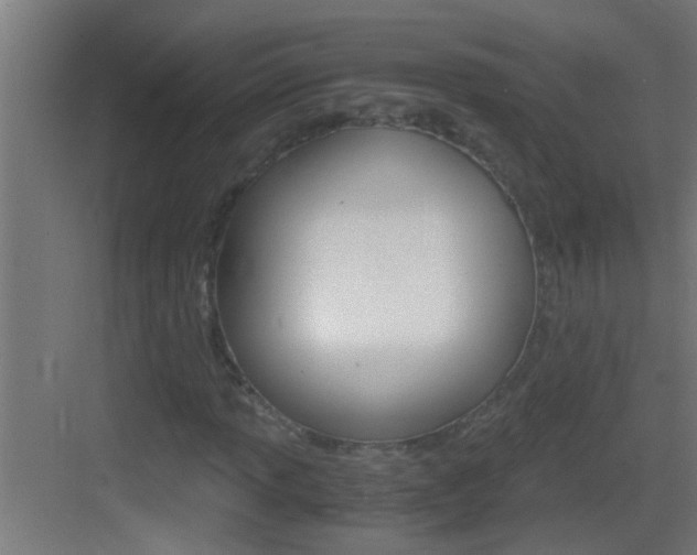 X0000083581013200702090835