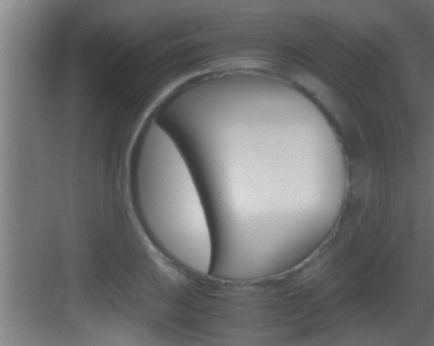 X0000083581031200702090836