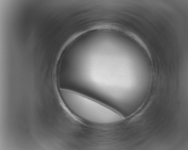X0000083581045200702090836