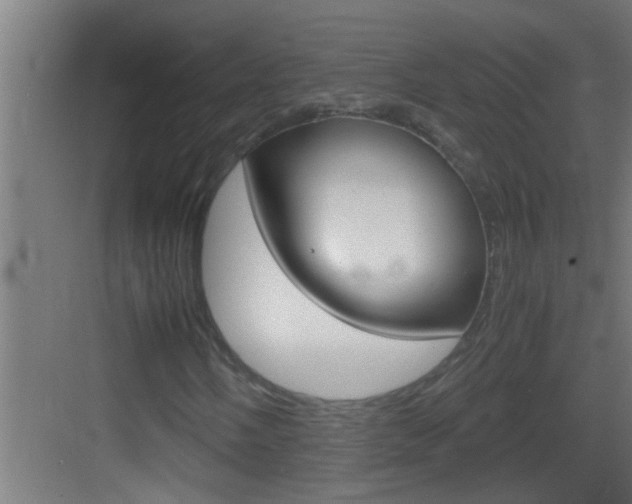 X0000083581058200702090835